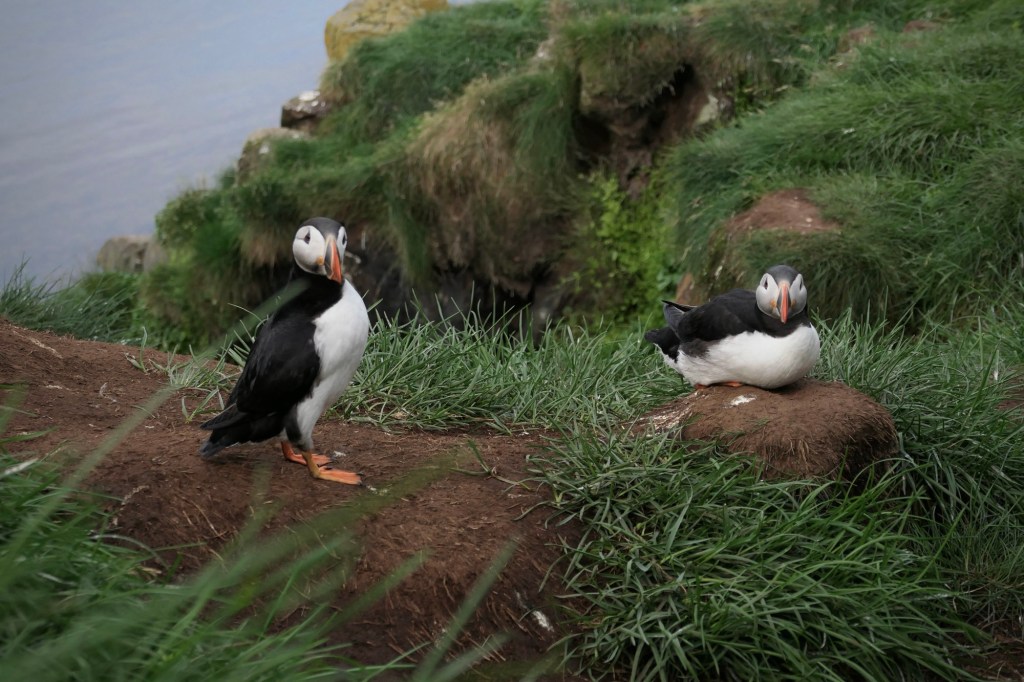 Islândia no inverno ou no&nbsp;verão?